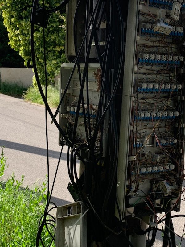 IMG_20240412_175057 (1).jpg