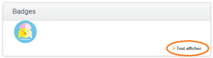 badges article 1.PNG