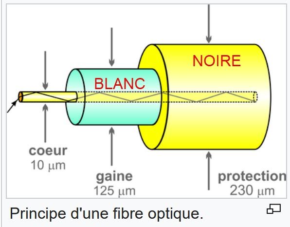 fibre.jpg