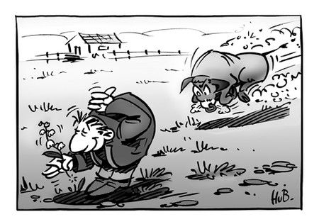 taureau.jpg