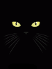 chat nuit.gif