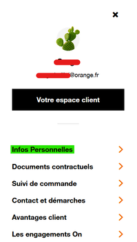 Capture d'écran 2024-08-17 052710.png