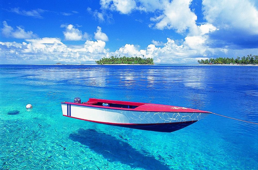 tahiti3[1].jpg