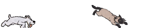 Chienetchat2.gif