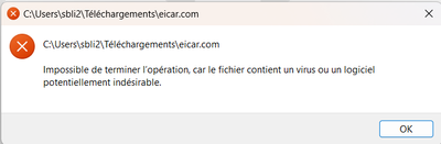 Capture d'écran 2024-10-28 061615.png