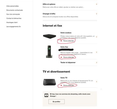 Portail web Orange 2.jpeg