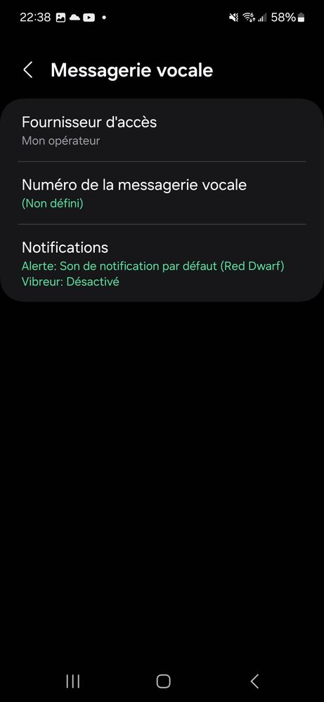 Screenshot_20250104_223818_Call settings.jpg