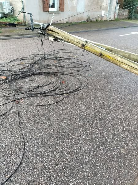 471543059_1849270908939526_1209104108304674432_n (1).jpg