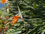 IMG_2145.jpeg