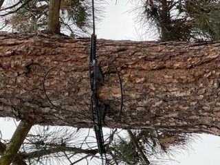 L arbre avec le câble