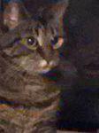 1535168092307456001.jpeg
