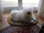 DSC04232.JPG