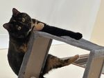 IMG_5724.jpeg