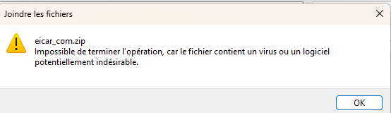 Capture d'écran 2025-04-22 100811.png