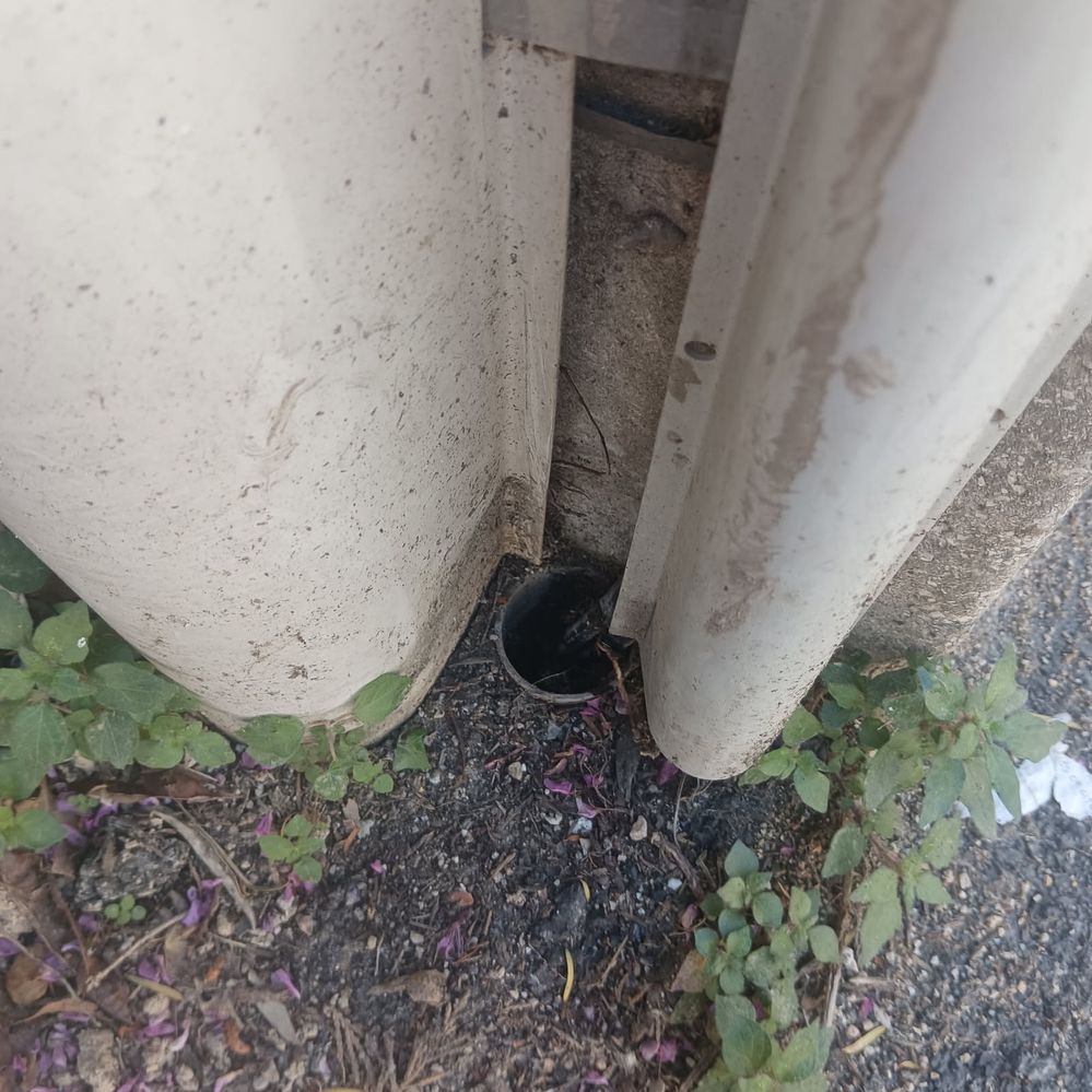 25 Avril 2025 pylone EDF  (aucun raccordement fi)bre