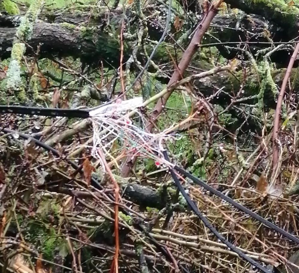 RACCORDEMEMENT 2.jpg