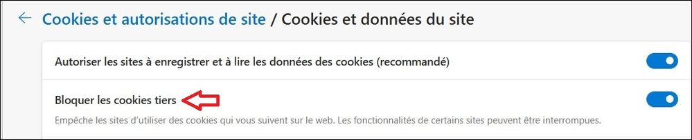 Capture d'écran 2025-06-08 095259.jpg