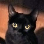 Profil (Marie220793)