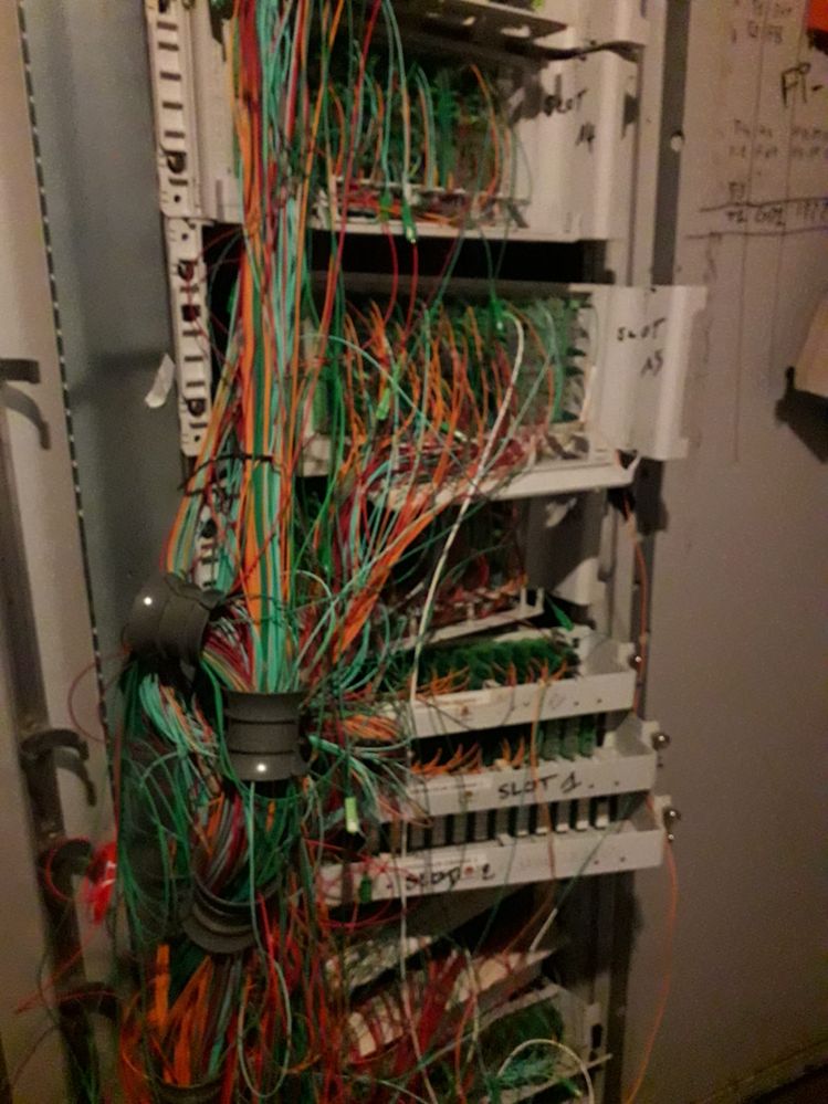 555a8c10-713b-42c3-89c5-5a10ac3fd3b1.jpg