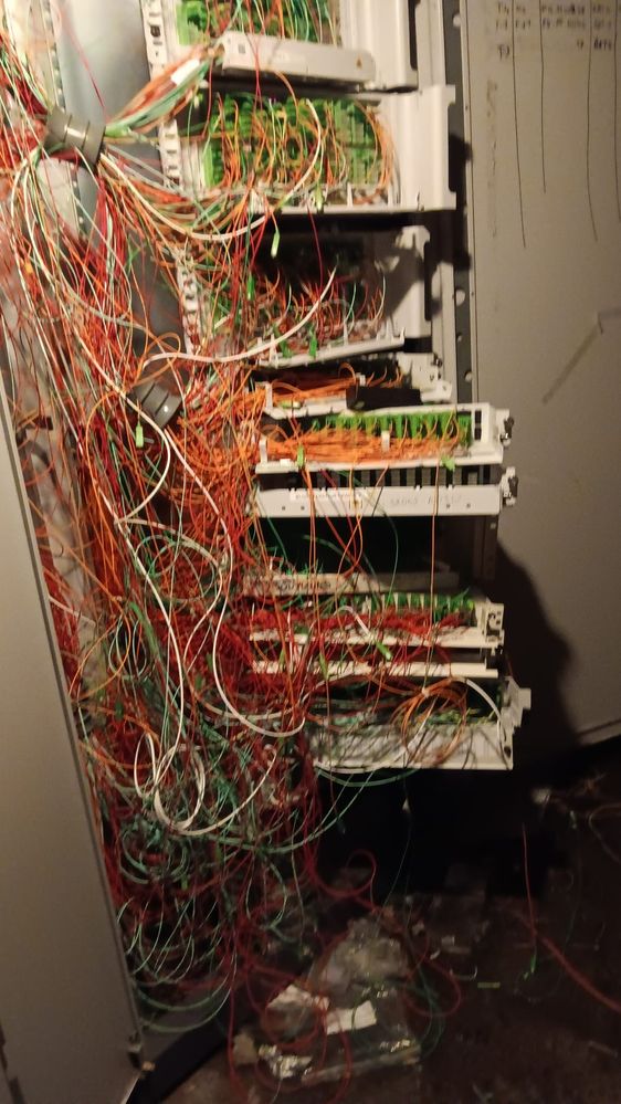 d3eca997-0360-4fd5-a427-63c38ec0545e.jpg