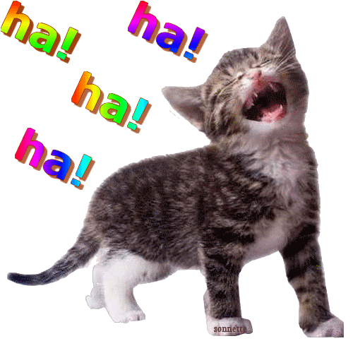 chat rit.gif