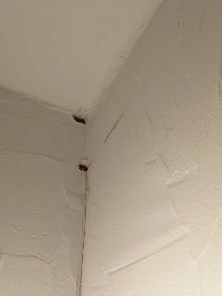 15 décembre 2025.jpg