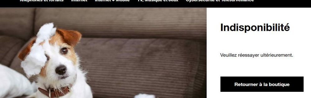 2026-01-12 11_28_29-Boutique.jpg