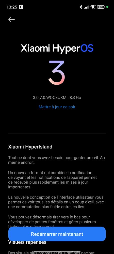 Screenshot_2026-01-12-13-25-59-508_com.android.updater.jpg