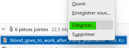 Capture d'écran 2026-01-29 145627.png