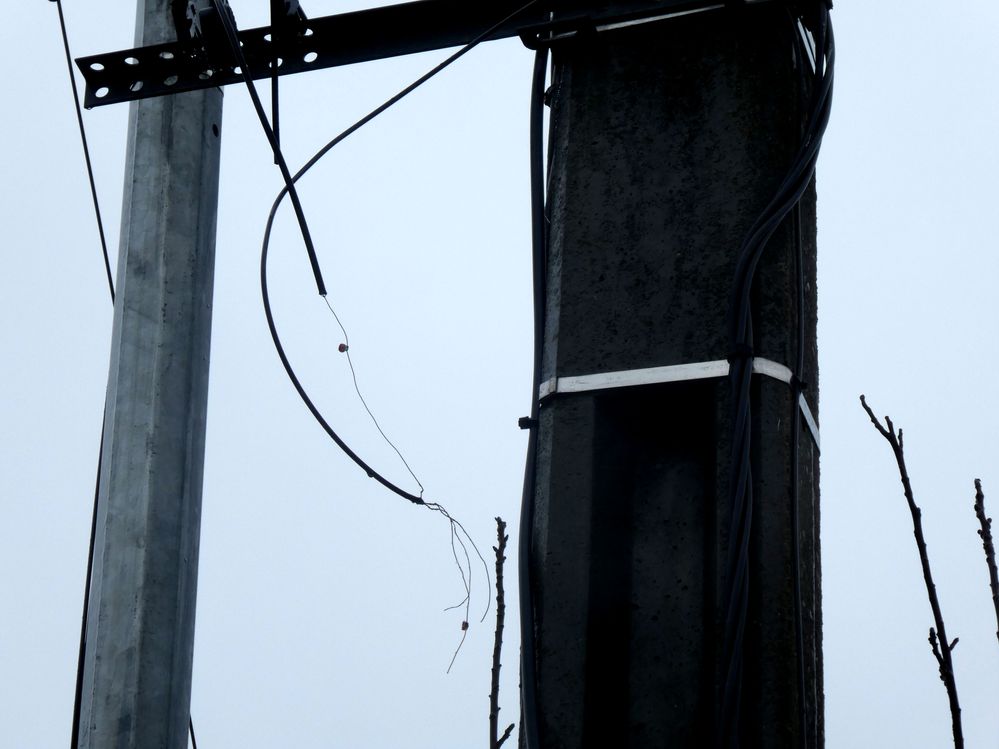 26.02.18- rupture (partielle) du cable de téléphone.JPG