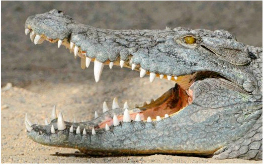 Image 6.png