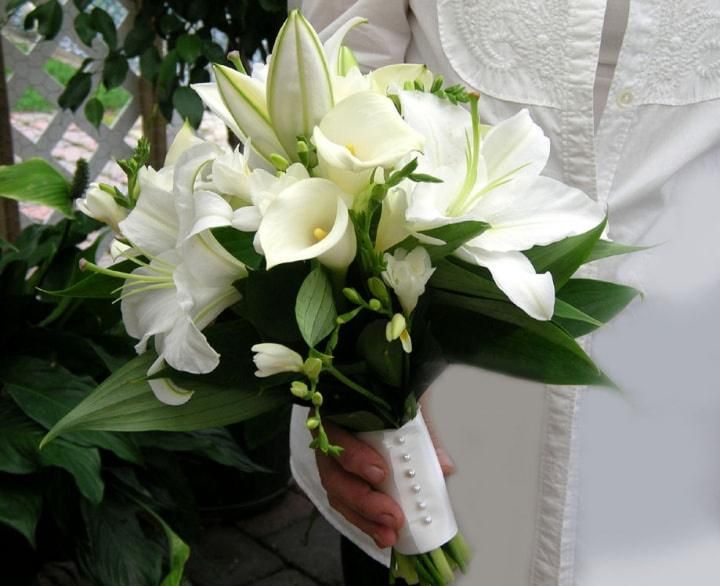 lys-et-arums_3_165480.jpeg