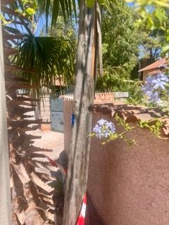 IMG_2982 - Petite.jpeg