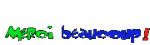 Merci beaucop.gif