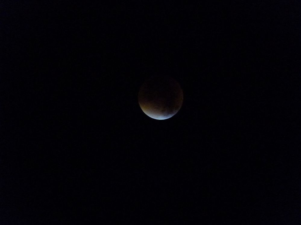 P1030645.JPG