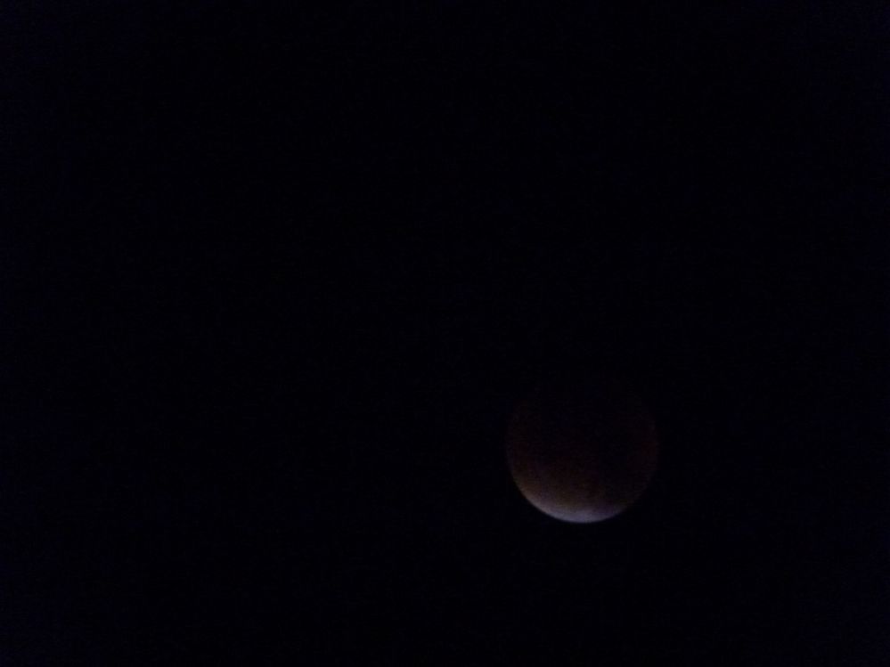 P1030668.JPG