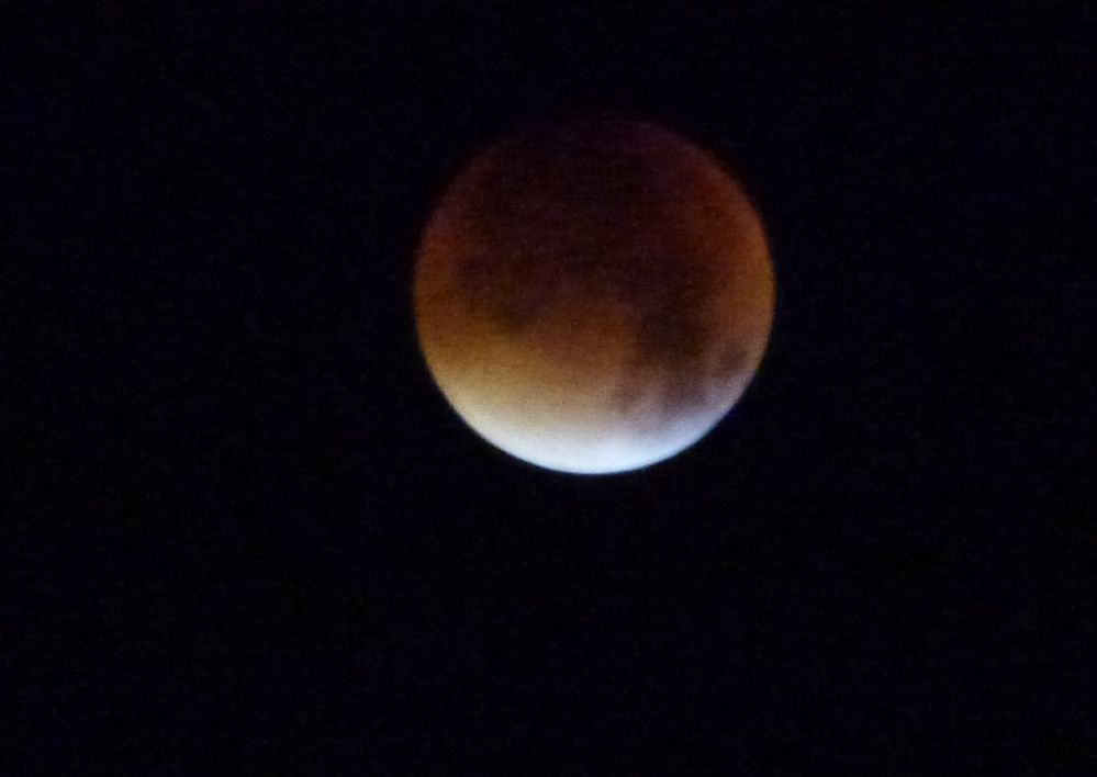 AvatarOrangeP1030650.JPG