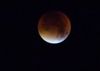 AvatarOrangeP1030650.JPG