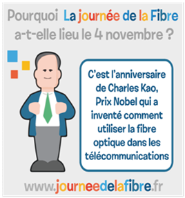 Fibre.png