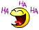 MsnTrucAstuce.free.fr (5).gif