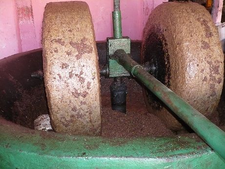 ecrasement des olives.jpg