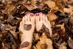 automne-photo-2.jpg