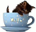 hello !.gif