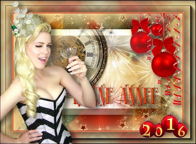 BONNE ANNEE 2016.jpg