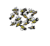 bzzz.gif