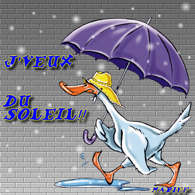 veuxsoleil.gif