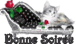 03_bonne_soiree.gif
