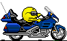 goldwing.gif
