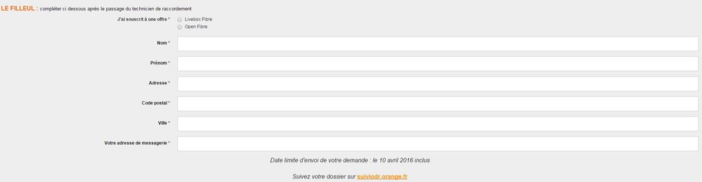 formulaire en ligne 2.JPG