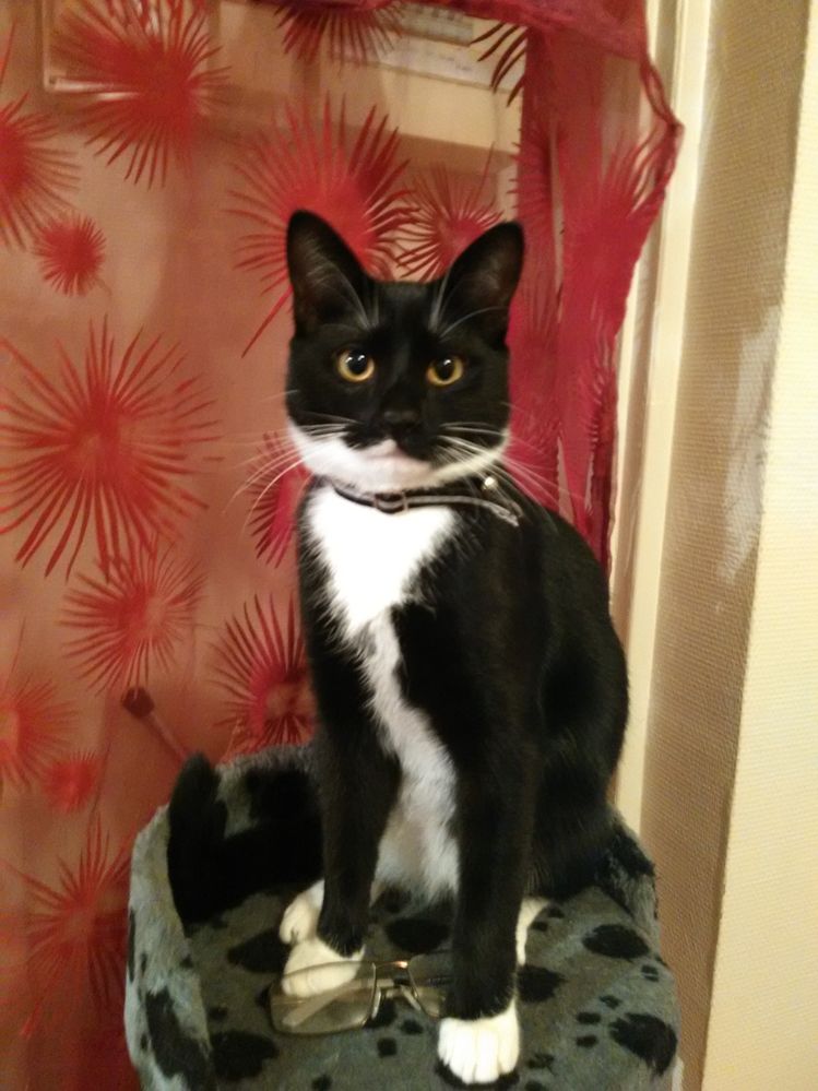 IMG_20151228_202721 (2).jpg